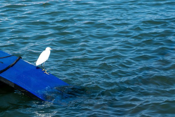 Hoe kun je een gezonde relatie met jezelf opbouwen voor een beter welzijn?